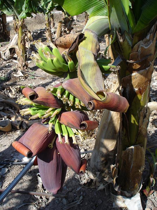 DSC02949 - Coral Bay